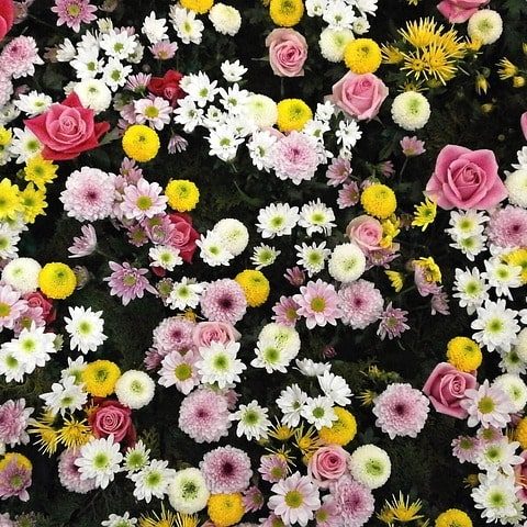 Fiesta del tapiz de flores